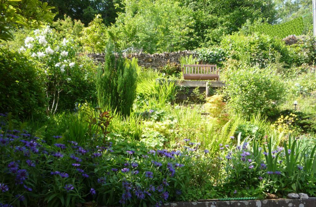 The Great Grubb Bed & Breakfast Totnes Exterior photo